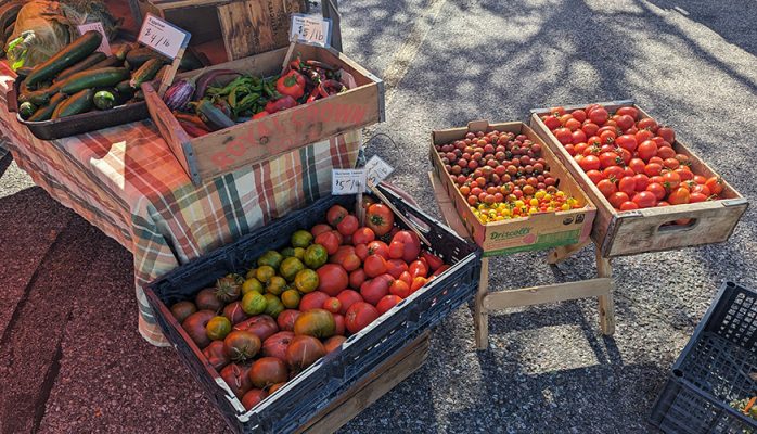 Crates of vine-ripened tomatoes and vegetables at the Mooo's booth